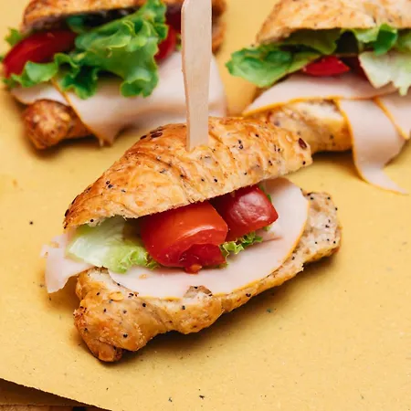 酒店 卡萨布兰卡酒店 3*